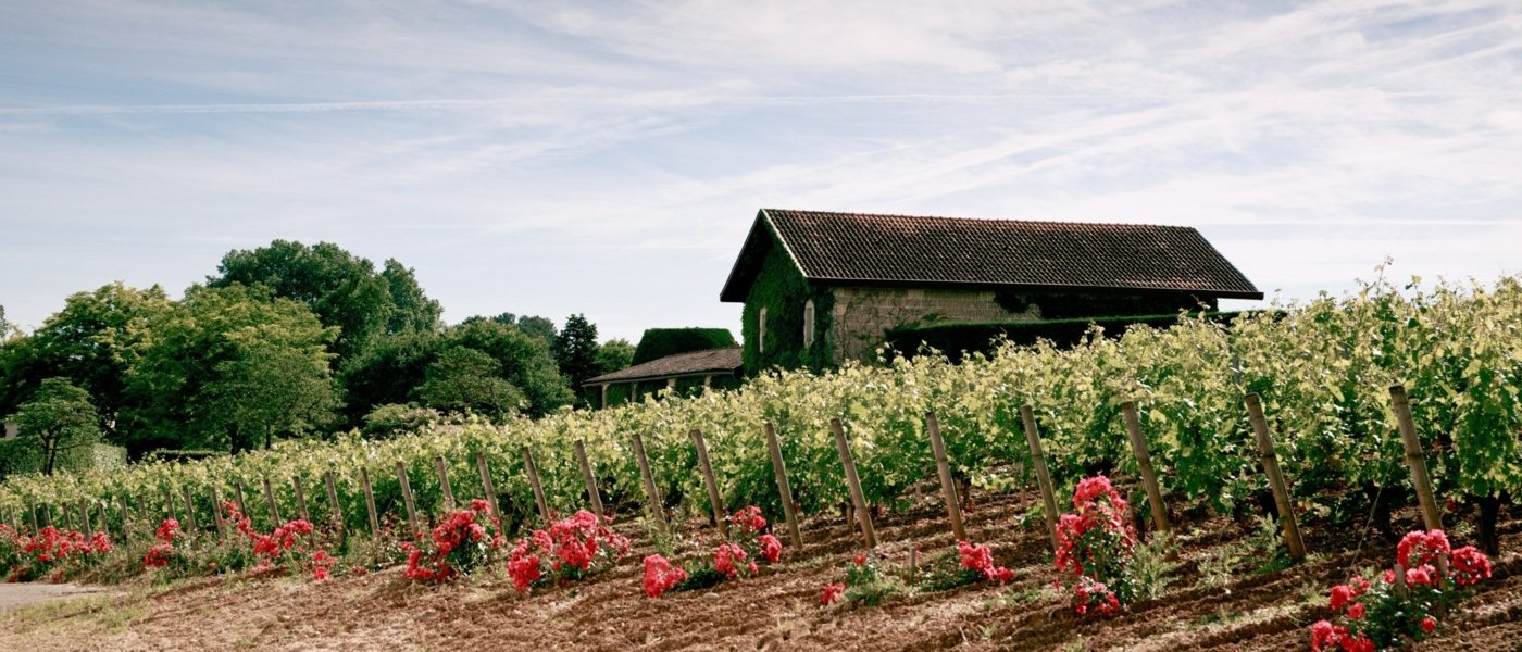 Old Cellars at Château Malartic-Lagravière in Bordeaux - Wine Paths